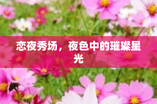 恋夜秀场，夜色中的璀璨星光