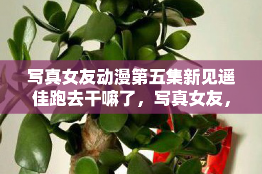 写真女友动漫第五集新见遥佳跑去干嘛了，写真女友，探索虚拟与现实的边界