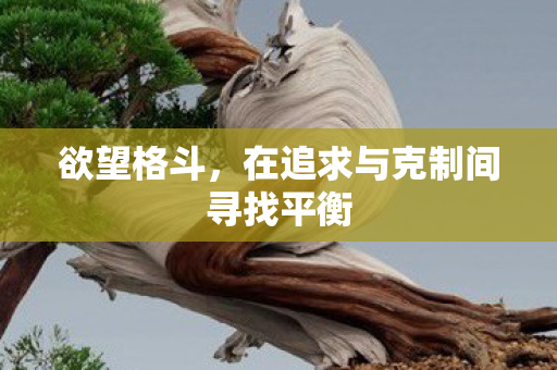 欲望格斗，在追求与克制间寻找平衡