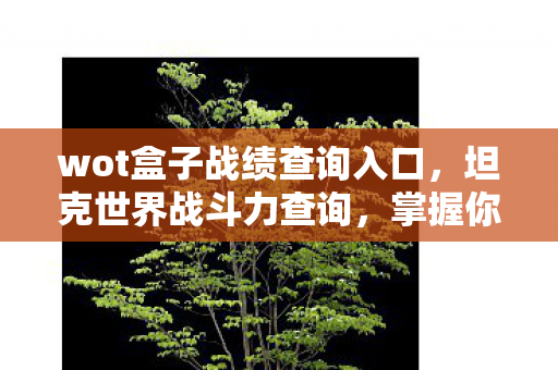 wot盒子战绩查询入口，坦克世界战斗力查询，掌握你的战场优势