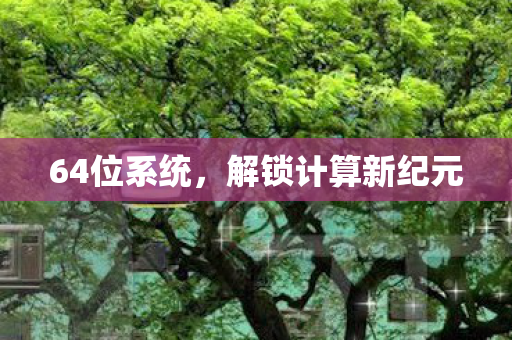 64位系统，解锁计算新纪元