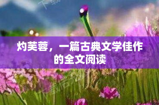 灼芙蓉，一篇古典文学佳作的全文阅读