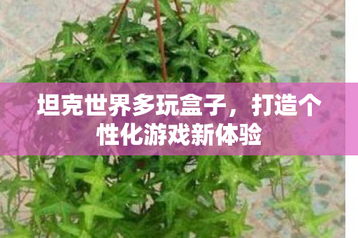 坦克世界多玩盒子，打造个性化游戏新体验