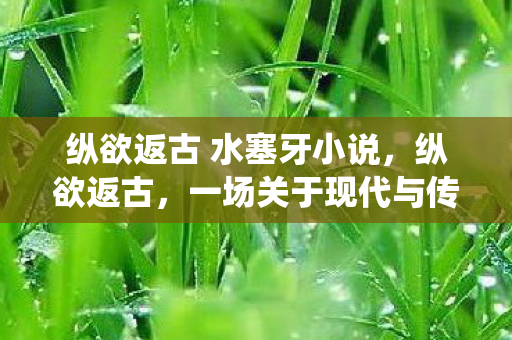 纵欲返古 水塞牙小说，纵欲返古，一场关于现代与传统的博弈