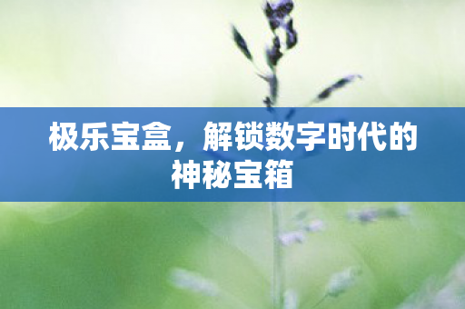 极乐宝盒，解锁数字时代的神秘宝箱