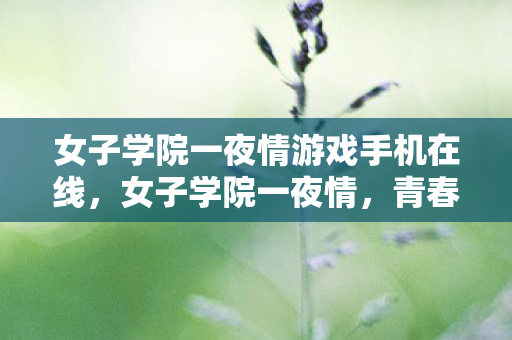 女子学院一夜情游戏手机在线，女子学院一夜情，青春、爱情与成长的交织