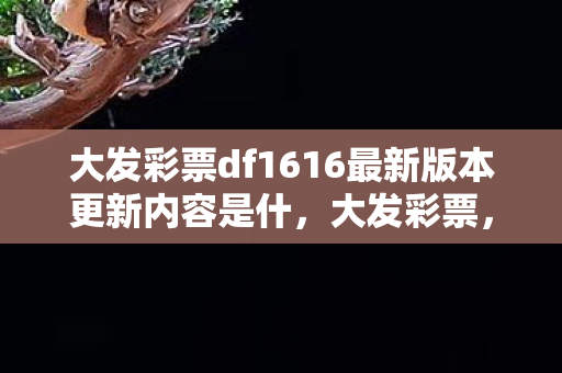 大发彩票df1616最新版本更新内容是什，大发彩票，梦想与现实的桥梁