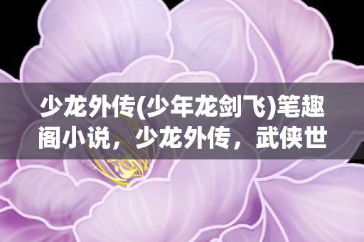 少龙外传(少年龙剑飞)笔趣阁小说，少龙外传，武侠世界的传奇少年