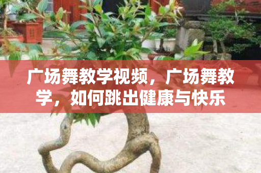 广场舞教学视频，广场舞教学，如何跳出健康与快乐