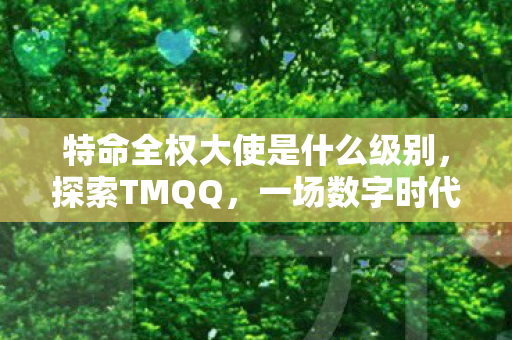 特命全权大使是什么级别，探索TMQQ，一场数字时代的即时通讯革命