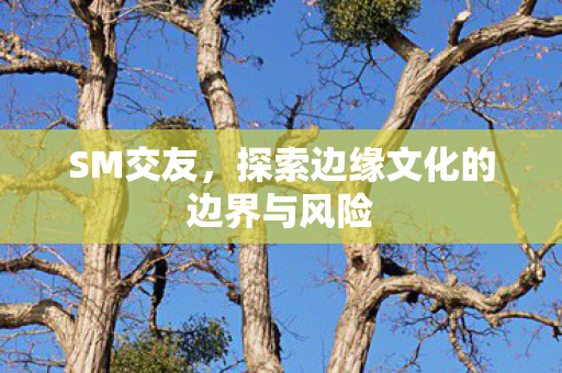 SM交友，探索边缘文化的边界与风险