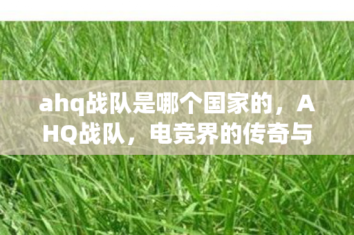 ahq战队是哪个国家的，AHQ战队，电竞界的传奇与未来