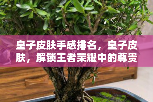 皇子皮肤手感排名，皇子皮肤，解锁王者荣耀中的尊贵身份