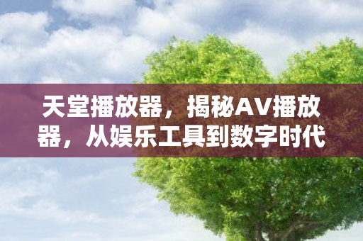 天堂播放器，揭秘AV播放器，从娱乐工具到数字时代的必备神器