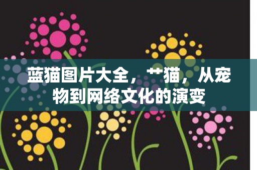 蓝猫图片大全,艹猫,从宠物到网络文化的演变 蓝猫图片大全,艹猫,从宠物到网络文化的演变