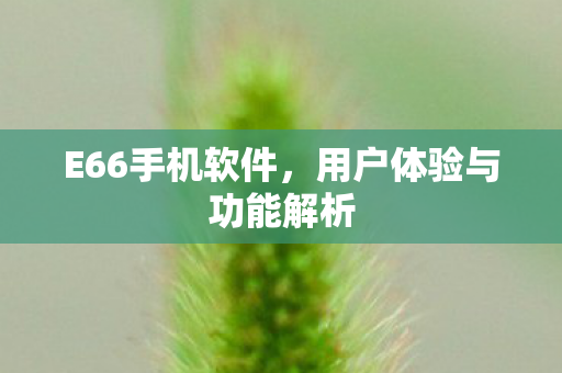 E66手机软件，用户体验与功能解析