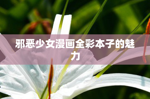 邪恶少女漫画全彩本子的魅力