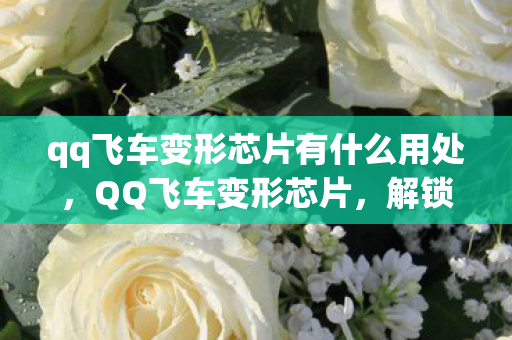 qq飞车变形芯片有什么用处,QQ飞车变形芯片,解锁赛车新形态,提升竞速体验 qq飞车变形芯片有什么用处,QQ飞车变形芯片,解锁赛车新形态,提升竞速体验