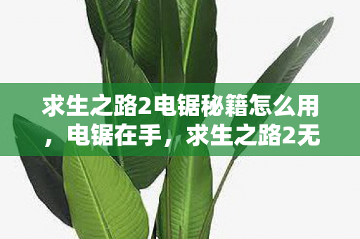 求生之路2电锯秘籍怎么用,电锯在手,求生之路2无忧,揭秘求生之路2电锯使用秘籍 求生之路2电锯秘籍怎么用,电锯在手,求生之路2无忧,揭秘求生之路2电锯使用秘籍
