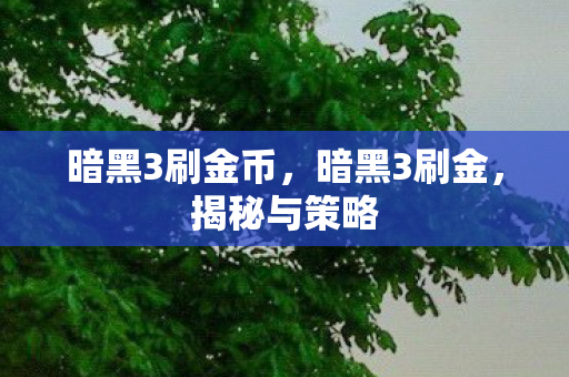 暗黑3刷金币,暗黑3刷金,揭秘与策略 暗黑3刷金币,暗黑3刷金,揭秘与策略