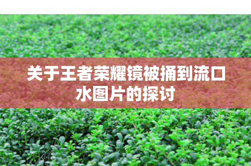 关于王者荣耀镜被捅到流口水图片的探讨