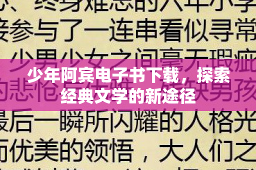 少年阿宾电子书下载，探索经典文学的新途径