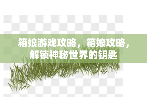 箱娘游戏攻略，箱娘攻略，解锁神秘世界的钥匙