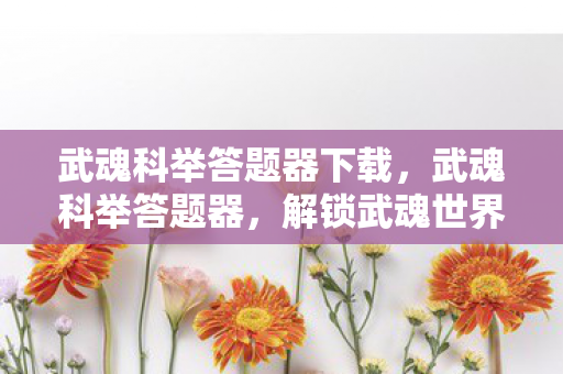 武魂科举答题器下载，武魂科举答题器，解锁武魂世界的智慧钥匙