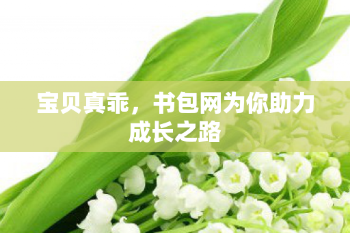 宝贝真乖，书包网为你助力成长之路