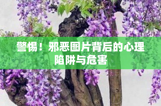 警惕！邪恶图片背后的心理陷阱与危害