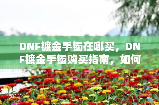 DNF镀金手镯在哪买，DNF镀金手镯购买指南，如何找到最实惠的购买渠道