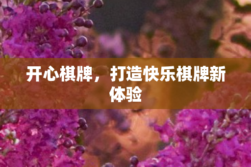 开心棋牌，打造快乐棋牌新体验