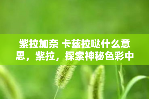 紫拉加奈 卡兹拉哒什么意思，紫拉，探索神秘色彩中的独特魅力