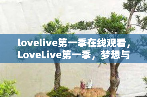 lovelive第一季在线观看，LoveLive第一季，梦想与友情的交响曲