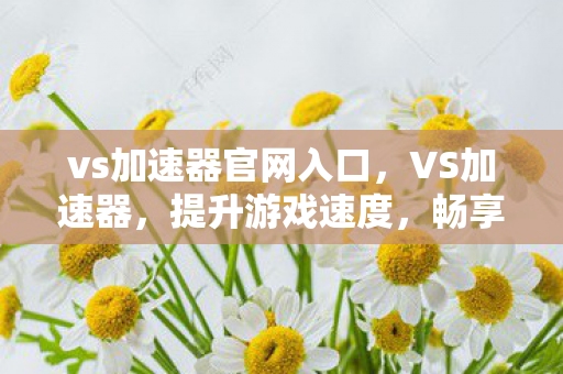 vs加速器官网入口，VS加速器，提升游戏速度，畅享无延迟体验