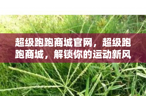 超级跑跑商城官网，超级跑跑商城，解锁你的运动新风尚