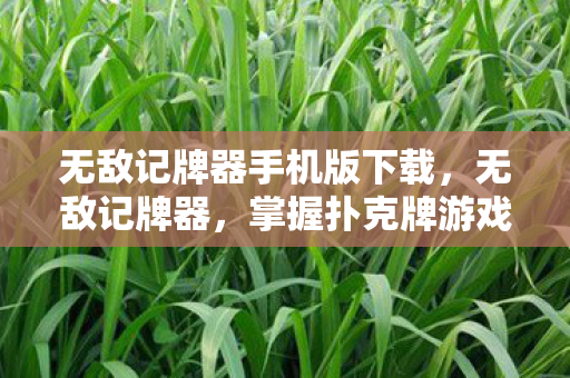 无敌记牌器手机版下载，无敌记牌器，掌握扑克牌游戏的秘密武器