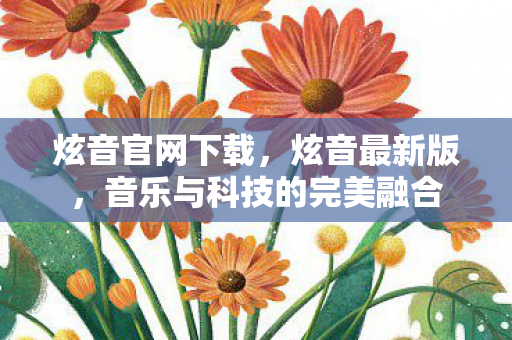 炫音官网下载，炫音最新版，音乐与科技的完美融合