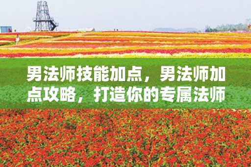 男法师技能加点，男法师加点攻略，打造你的专属法师角色