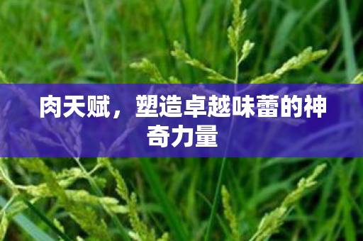 肉天赋,塑造卓越味蕾的神奇力量 肉天赋,塑造卓越味蕾的神奇力量