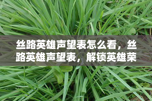 丝路英雄声望表怎么看，丝路英雄声望表，解锁英雄荣耀的钥匙