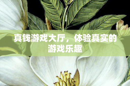 真钱游戏大厅，体验真实的游戏乐趣