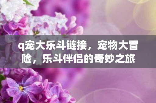 q宠大乐斗链接,宠物大冒险,乐斗伴侣的奇妙之旅 q宠大乐斗链接,宠物大冒险,乐斗伴侣的奇妙之旅
