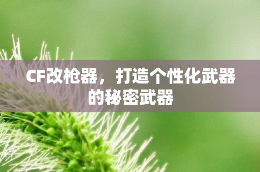 CF改枪器,打造个性化武器的秘密武器 CF改枪器,打造个性化武器的秘密武器