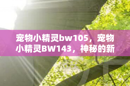 宠物小精灵bw105，宠物小精灵BW143，神秘的新冒险
