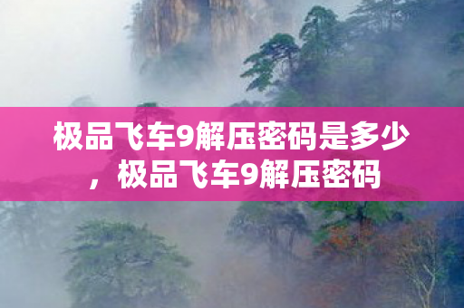 极品飞车9解压密码是多少，极品飞车9解压密码