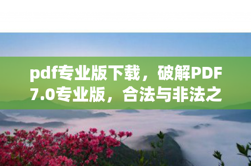 pdf专业版下载，破解PDF7.0专业版，合法与非法之间的灰色地带