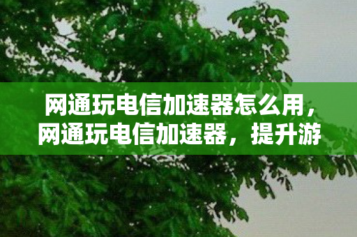 网通玩电信加速器怎么用，网通玩电信加速器，提升游戏体验的必备神器