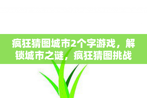 疯狂猜图城市2个字游戏，解锁城市之谜，疯狂猜图挑战中的二字城市