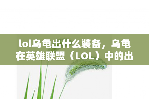 lol乌龟出什么装备，乌龟在英雄联盟（LOL）中的出装指南